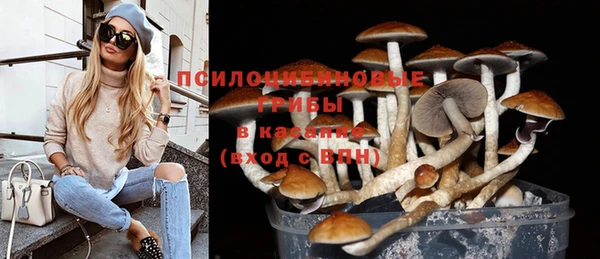 прущие грибы Алексеевка