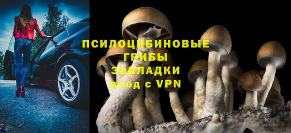 прущие грибы Алексеевка