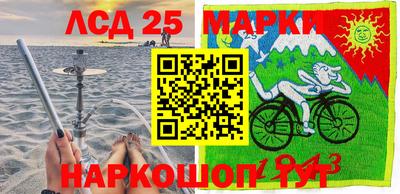 амф Дубна