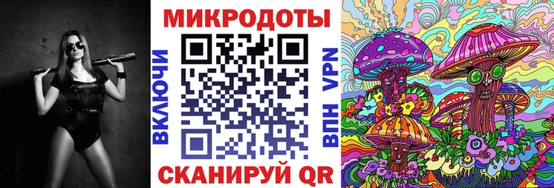 KRAKEN сайт  купить   Михайловск  Галлюциногенные грибы Cubensis 