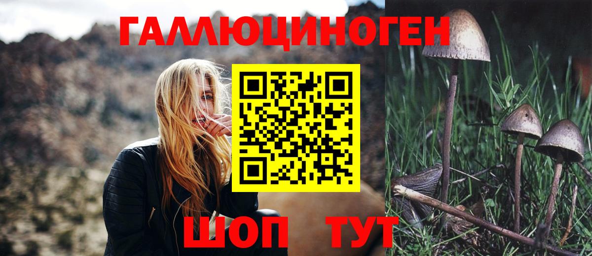 Галлюциногенные грибы прущие грибы Михайловск